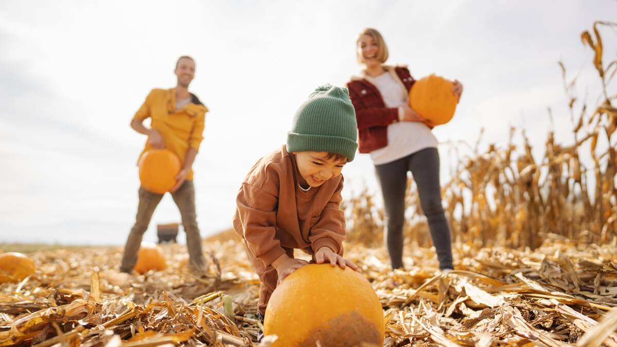 Celebrating Halloween Doesn’t Have To Be Scary Expensive